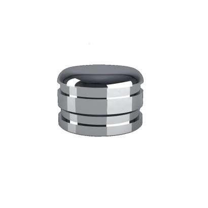 041CAN - 2 BOITIERS (LOGEMENTS) INOX POUR RESINE TAILLE NORMALE