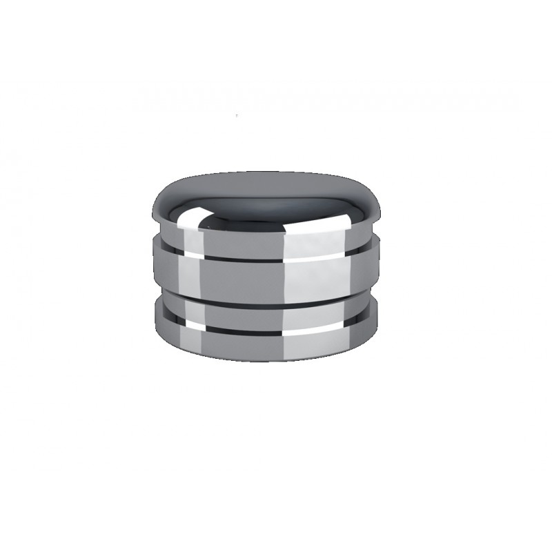 041CAN - 2 BOITIERS (LOGEMENTS) INOX POUR RESINE TAILLE NORMALE