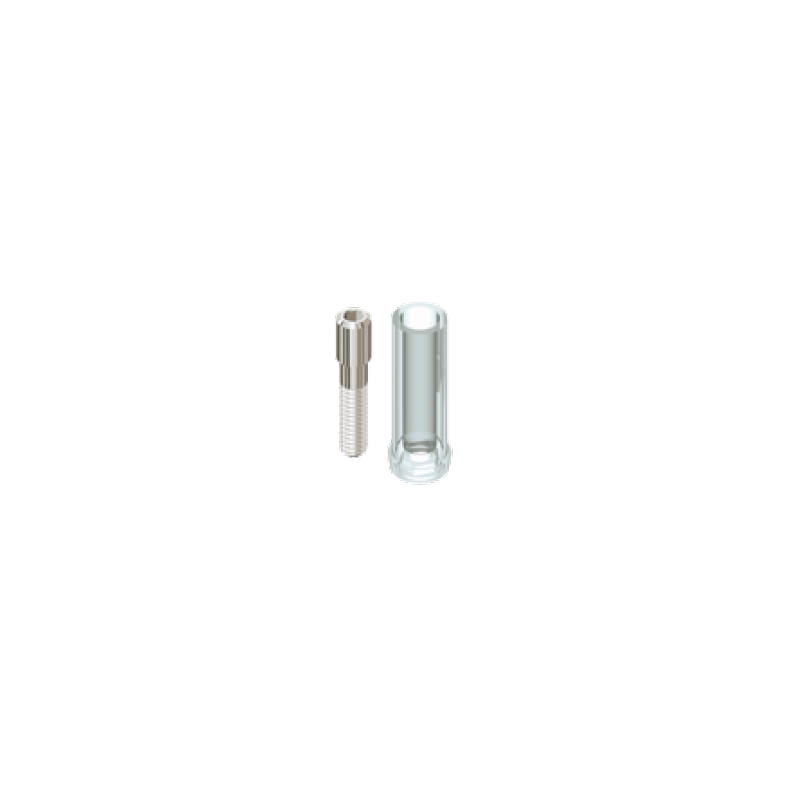 Pilier Calcinable Branemark Rotationnel avec vis en titane 3.75 mm - 4 mm de diamètre