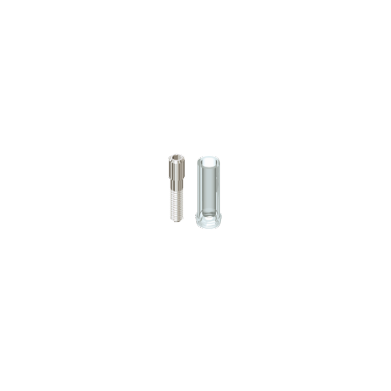 Pilier Calcinable Branemark Rotationnel avec vis en titane de 3.75 mm - 4 mm de diamètre
